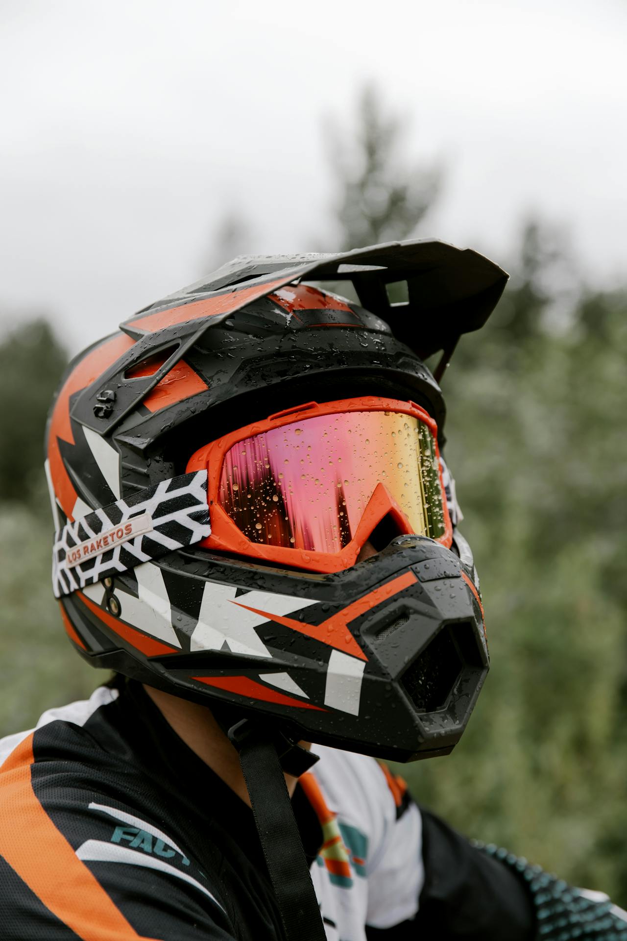 Fondo Casco